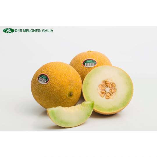 BOUQUET Melonen Galia 
