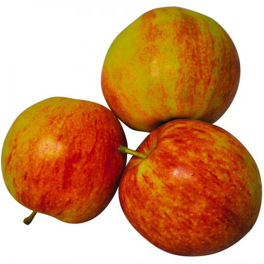 Bio Demeter Äpfel Jonagored 