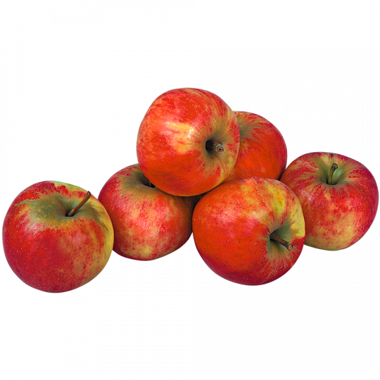 Äpfel, Elstar Klasse 	I 