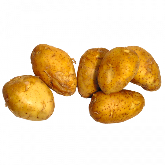 Frühkartoffeln festkochend roterdig 