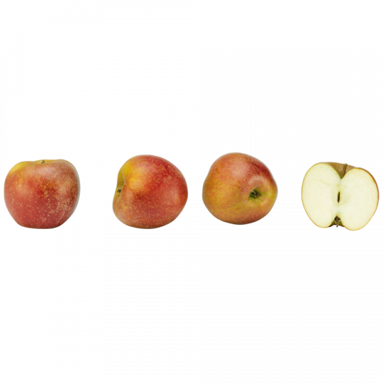 Äpfel Boskoop Klasse 	I 
