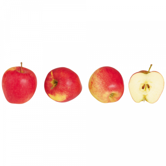 Äpfel, Evelina Klasse 	I 800g 