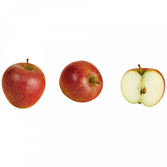 Äpfel, Rubinella Bay Klasse 	I 